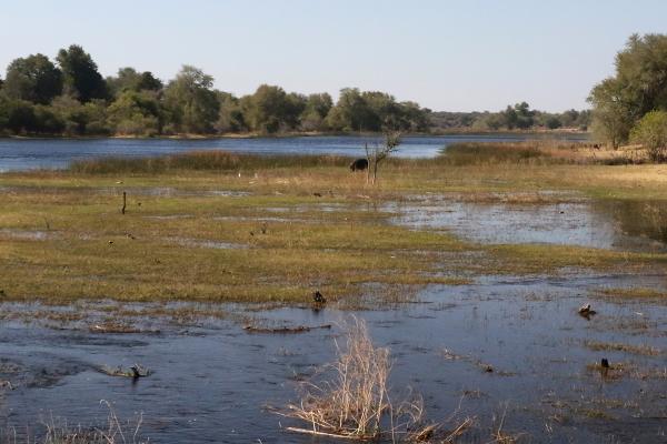 botswana maun exploringafrica safariadv romina facchi