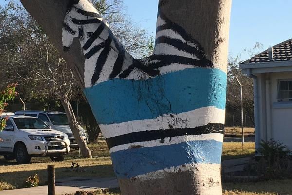 Botswana border botswana exploringafrica safariadv romina facchi road travel