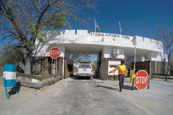 Etosha National Park: Von Lindequest Gate namibia exploringafrica safariafv safari romina facchi namib san travel