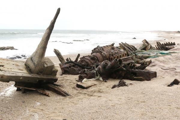Skeleton Coast: Shipwreck South West Seal namibia safariadv exploringafrica romina facchi namib skeleton coast