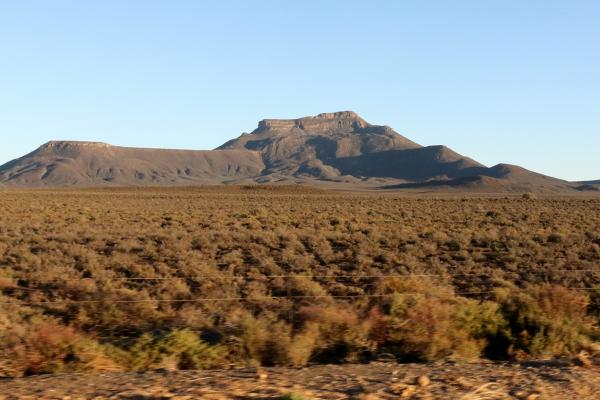 South Africa: Northern Cape exploringafrica safariadv rominafacchi sudafrica southafrica