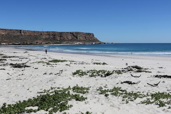 South Africa: Eland’s Bay exploringafrica safariadv romina facchi sudafrica southafrica