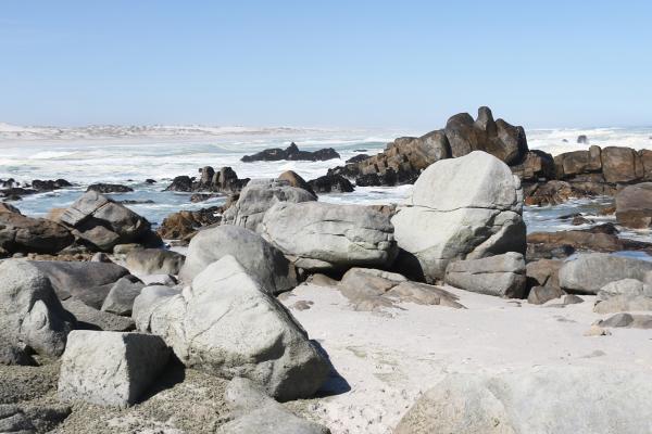 South Africa: West Coast National Park exploringafrica safariadv romina facchi south africa ocean