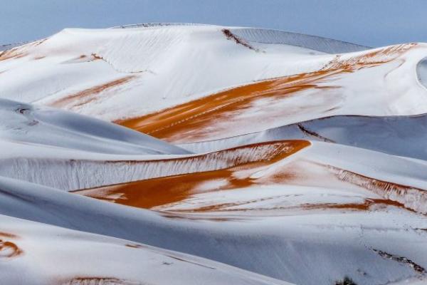 sahara snow 