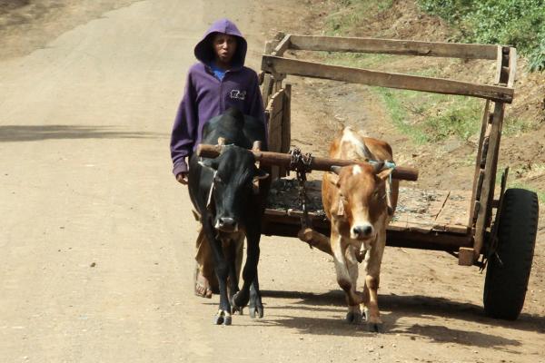 On the road: Tanzania! tanzania ngorongoro serengeti tarangire manyara exploringafrica safariadv romina facchi travel safariania ngorongoro serengeti tarangire manyara exploringafrica safariadv romina facchi travel safari