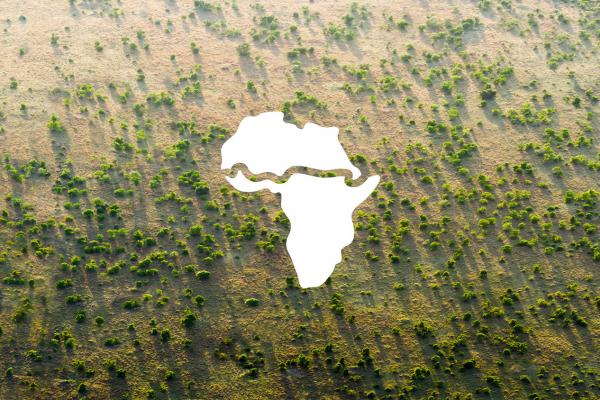 Great Green Wall great green wall