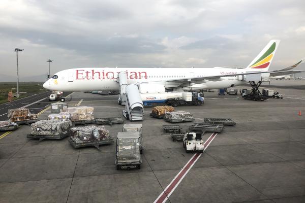 Ethiopian Airlines south africa sudafrica exploringafrica safariadv kruger lion safari travel