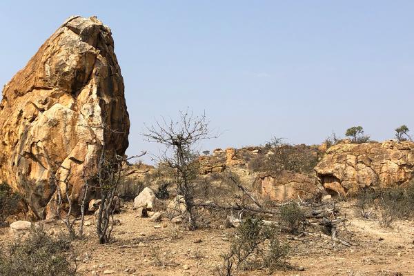 Mapungubwe National Park south africa sudafrica exploringafrica safariadvmapungubwe national park exploringafrica safariadv south africa