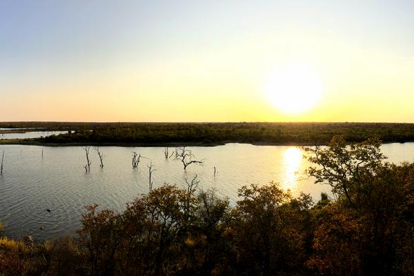 Kruger National Park south africa sudafrica exploringafrica safariadv kruger jackal safari travel