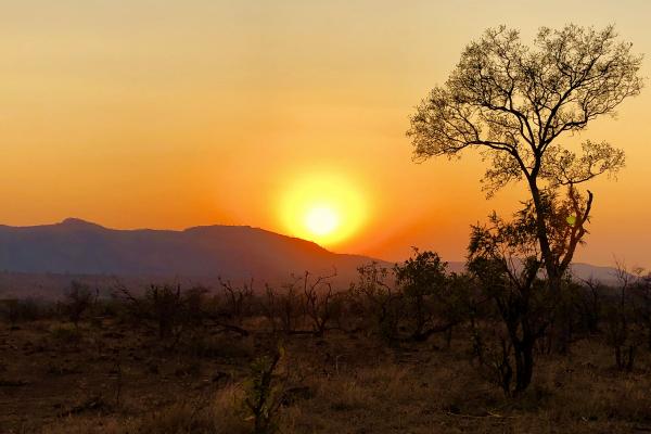 Kruger National Park: Sunrise south africa sudafrica exploringafrica safariadv kruger hippo safari travel