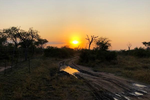 Mkhaya Game Reserve swaziland exploringafrica safariadv romina facchi travel safari africa