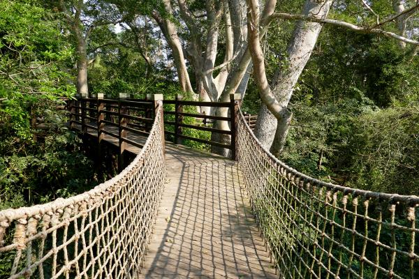 uMkhuze Game Reserve south africa sudafrica exploringafrica safariadv isimangaliso safari travelravel
