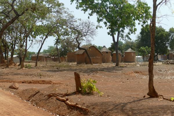 On the road! costa d'avorio ivory coast romina facchi exploringafrica safariadv west africa