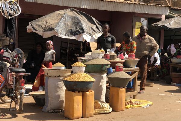 Korhogo Market costa d'avorio ivory coast romina facchi exploringafrica safariadv west africa