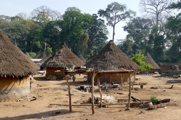 On the road! costa d'avorio ivory coast romina facchi exploringafrica safariadv west africa