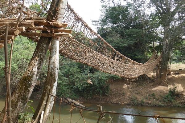 Liana bridge costa d'avorio ivory coast romina facchi exploringafrica safariadv west africa