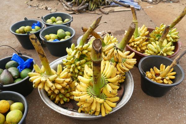 On the road! costa d'avorio ivory coast romina facchi exploringafrica safariadv west africa