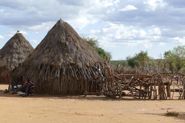 Hamer village etiopia ethiopia exploringafrica safariadv travel omo valley mursi hamar kara dassanech konso