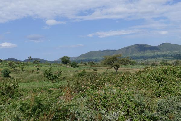 etiopia ethiopia exploringafrica safariadv travel omo valley mursi hamar kara dassanech konso 