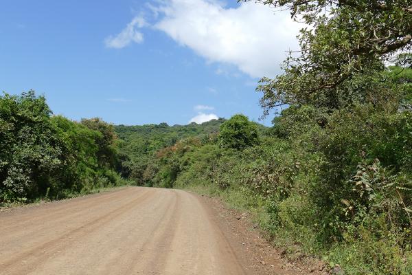 Mago National Park etiopia ethiopia exploringafrica safariadv travel omo valley mursi hamar kara dassanech konso