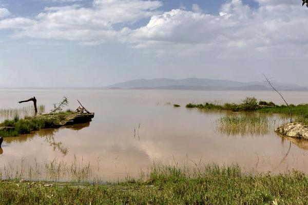 Lake Langano etiopia ethiopia exploringafrica safariadv travel omo valley lake langano
