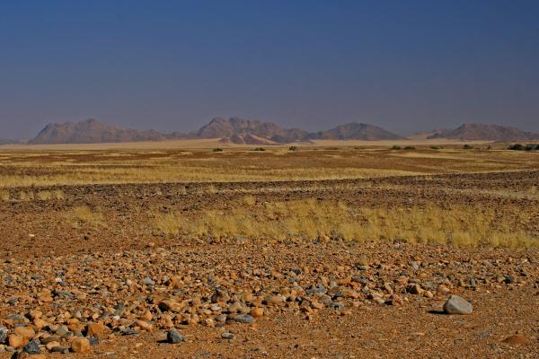 Namibia desert exploringafrica safariafv safari rominafacchi namib 