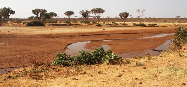 Samburu National Reserve river ewes ngiro Kenya Romina Facchi