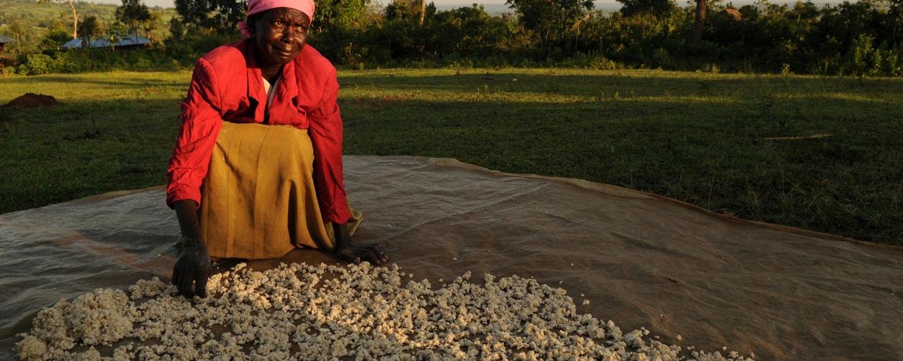 luo woman with cassava 