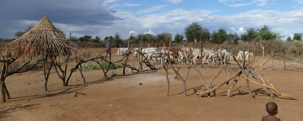 etiopia ethiopia exploringafrica safariadv travel omo valley dorze hamar kara dassanech konso ssanech konso 