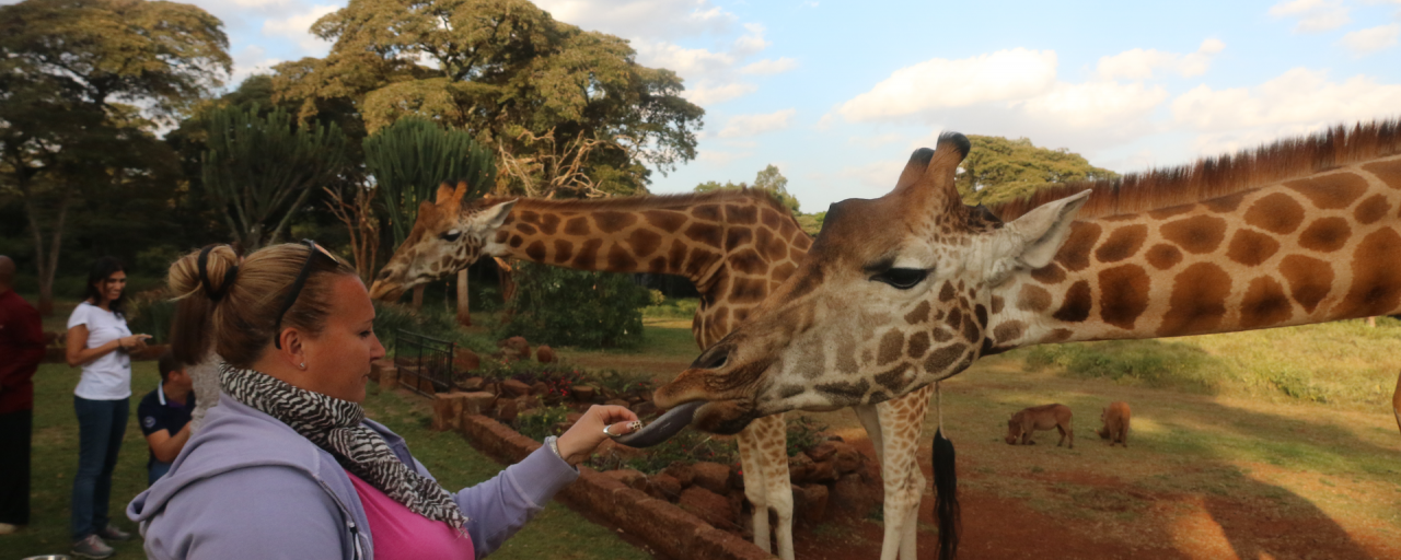 kenya Nairobi giraffe manor africa safariadv exploringafrica