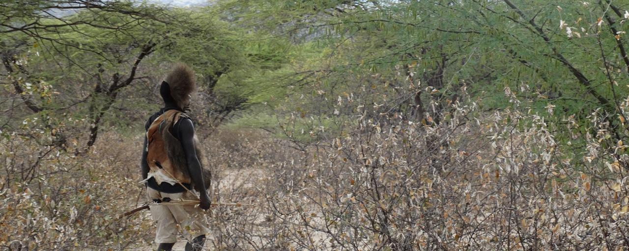 hadzabe hunter walks in the bush