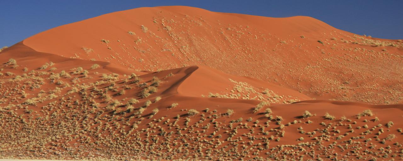 namib-naukluft national park namib desert namibia dune