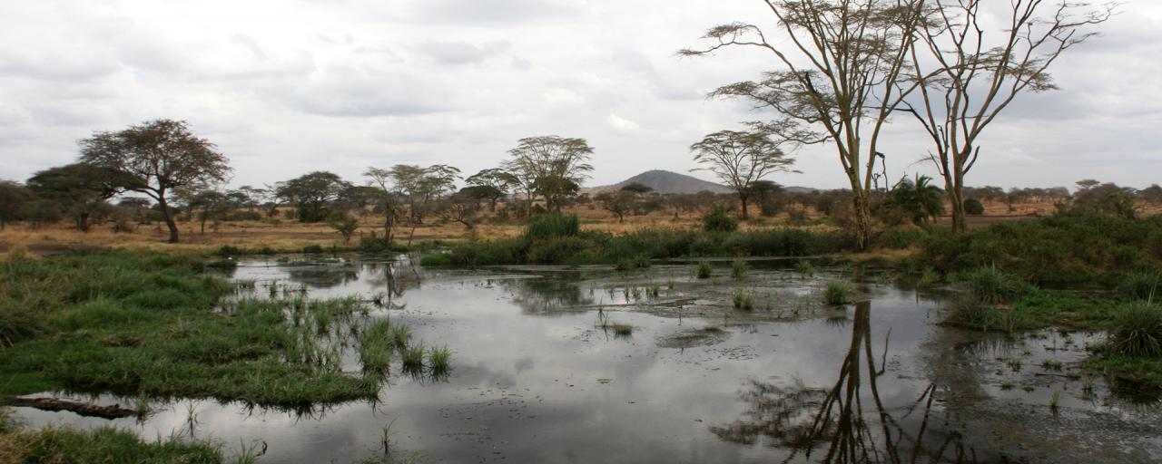Serengeti National Park: lake, acacias and hills in background