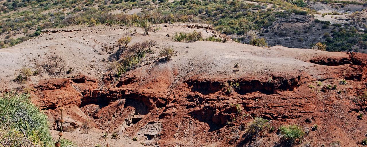 Olduvai Gorge: the origins of humankind