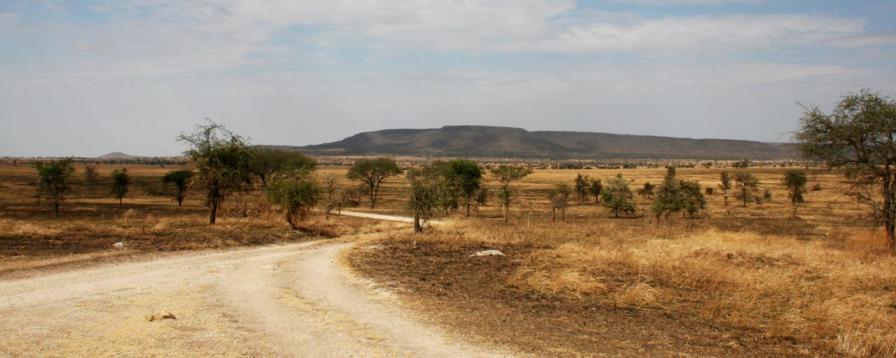 Serengeti National Park: Makoma Hill driving