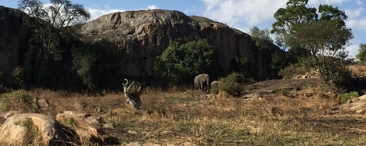 Serengeti National Park: Lobo Valley elephant and kopjes