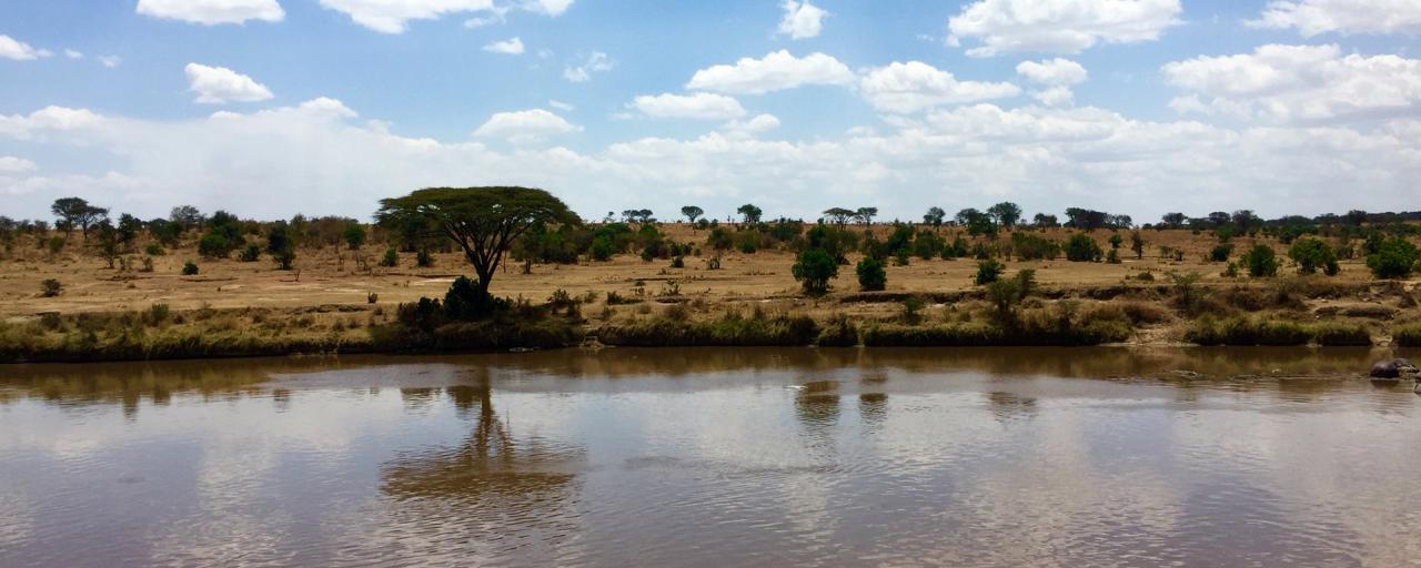Serengeti National Park: Mara River at Kogatende Ranger Station