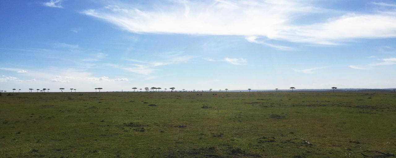 infinity landscape in Masai Mara National Reserve