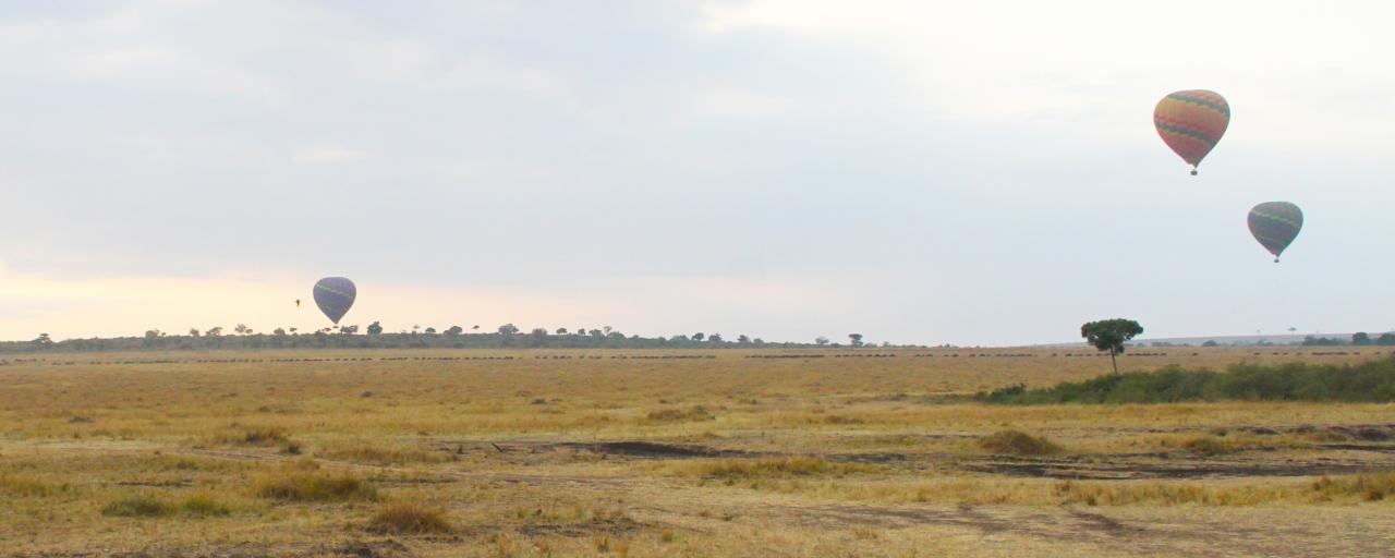 Masai Mara National Reserve: air balloon air balloon safari in Masai Mara National Reserve