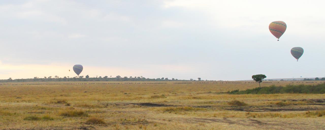  air balloon safari in Masai Mara National Reserve