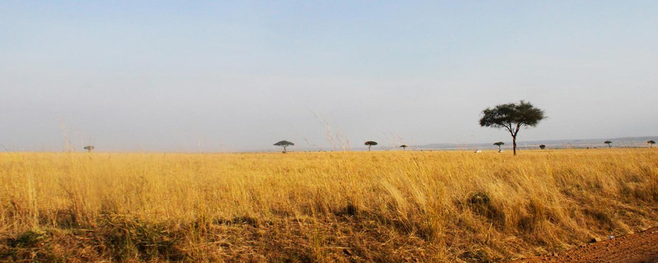 Masai Mara National Reserve landscape