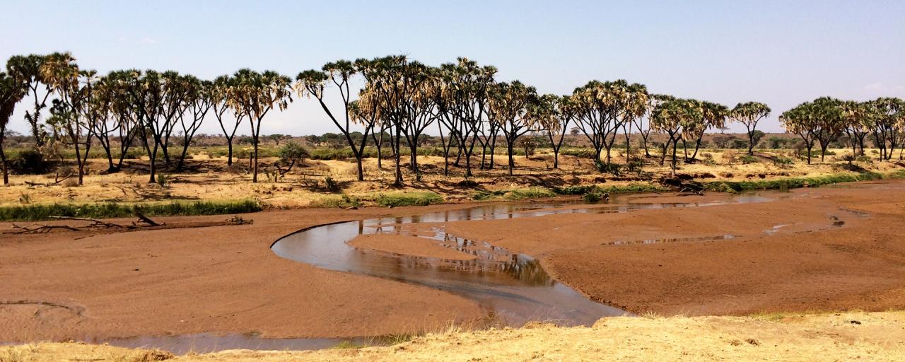 Samburu National Reserve Ewaso Ngiro River Kenya Exploring Africa