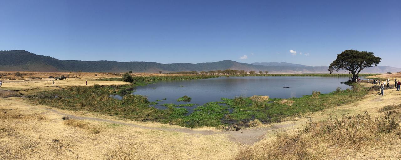 Ngorongoro Conservation Area
