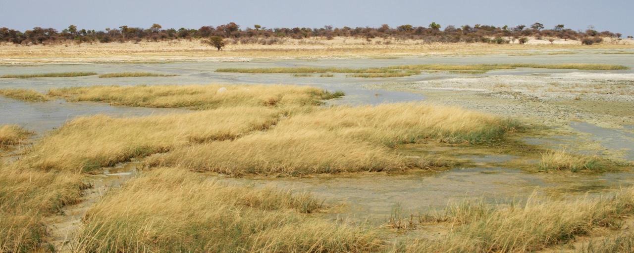 Etosha National Park the pan namibia africa romina facchi