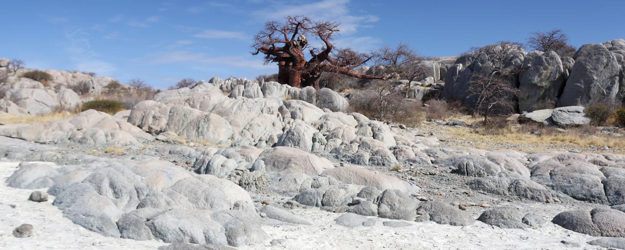 exploringafrica safariadv romina facchi botswana travel