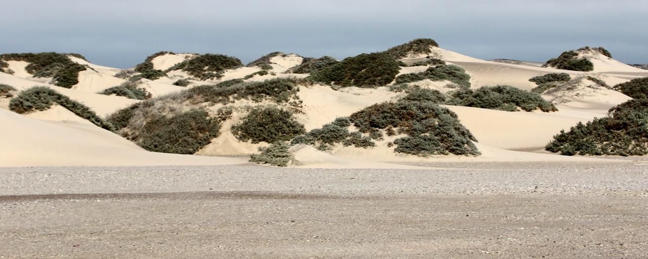 skeleton coast namibia exploringafrica SafariADV romina facchi travel safari africa