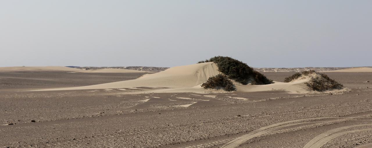 skeleton coast namibia exploringafrica SafariADV romina facchi travel safari africa