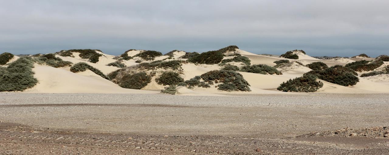 skeleton coast namibia exploringafrica SafariADV romina facchi travel safari africa