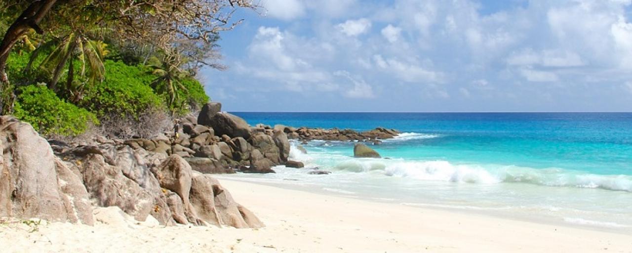 Seychelles beach ocean 