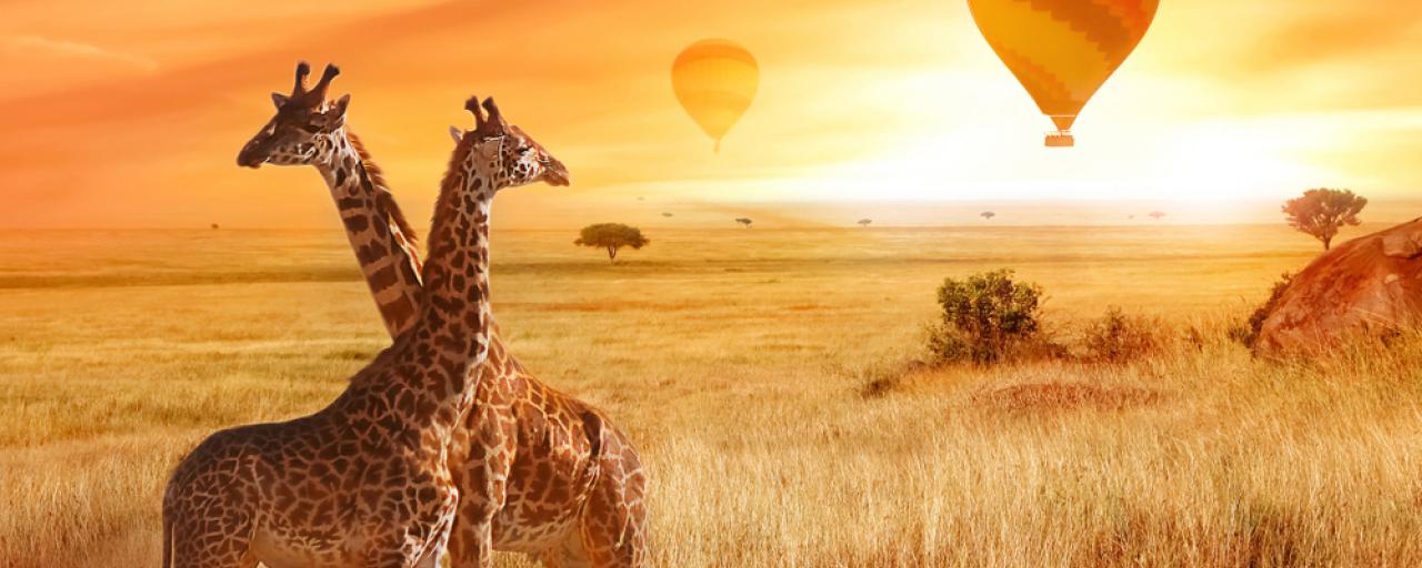 kenya giraffe mongolfiera tramonto safari